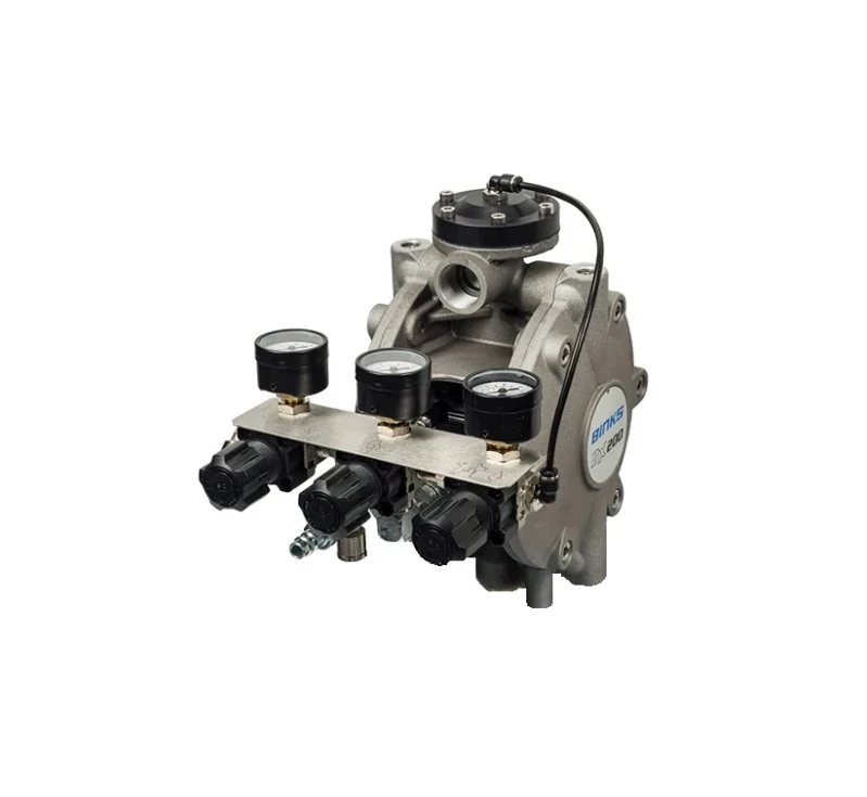 DX200 1:1 Membranpumpen mit 3 Regler